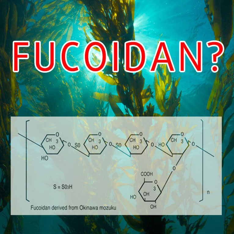 FUCOIDAN là gì? FUCOIDAN có tác dụng gì với ung bướu?